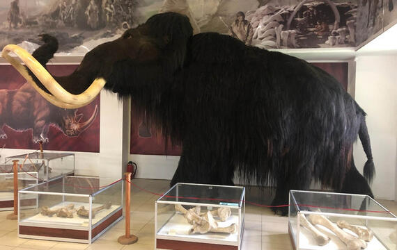 Праздничная программа «Путешествие в Ледниковый период» в музее-заповеднике «Костенки»