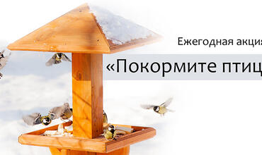 Воронежский заповедник приглашает принять участие в акции «Покормите птиц»