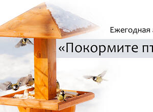 Воронежский заповедник приглашает принять участие в акции «Покормите птиц»