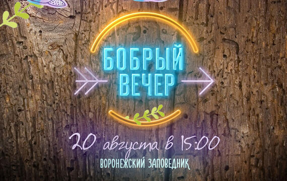 Бобрый вечер в Воронежском заповеднике